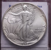 NL* STATI UNITI 1 DOLLARO ARGENTO 1989 1 ONCIA OZ ARGENTO PURO Liberty Walking