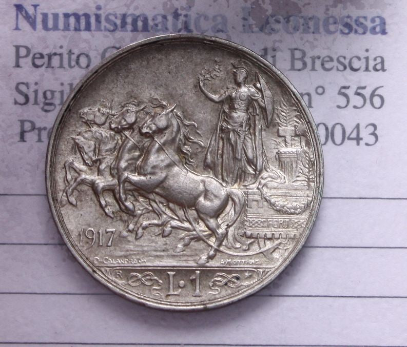 47027559