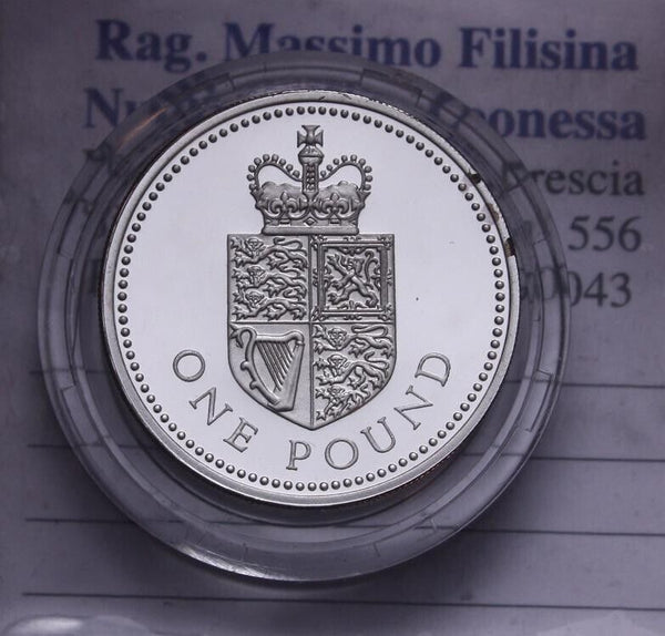 NL* GB UK ELISABETTA II 1 ONE POUND SILVER Silver 1983 PIEDFORT PROOF CAMEO ob
