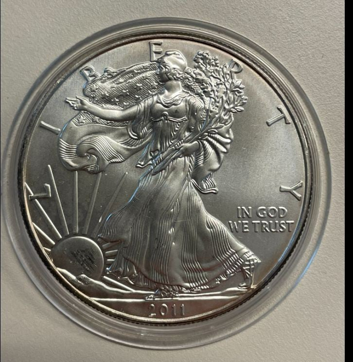 NL* STATI UNITI 1 DOLLARO ARGENTO 2011 ONCIA OZ ARGENTO PURO Liberty Walking