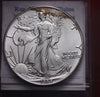 NL* STATI UNITI 1 DOLLARO ARGENTO 1988 1 ONCIA ARGENTO PURO Liberty Walking