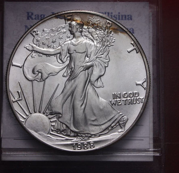 NL* STATI UNITI 1 DOLLARO ARGENTO 1988 1 ONCIA ARGENTO PURO Liberty Walking