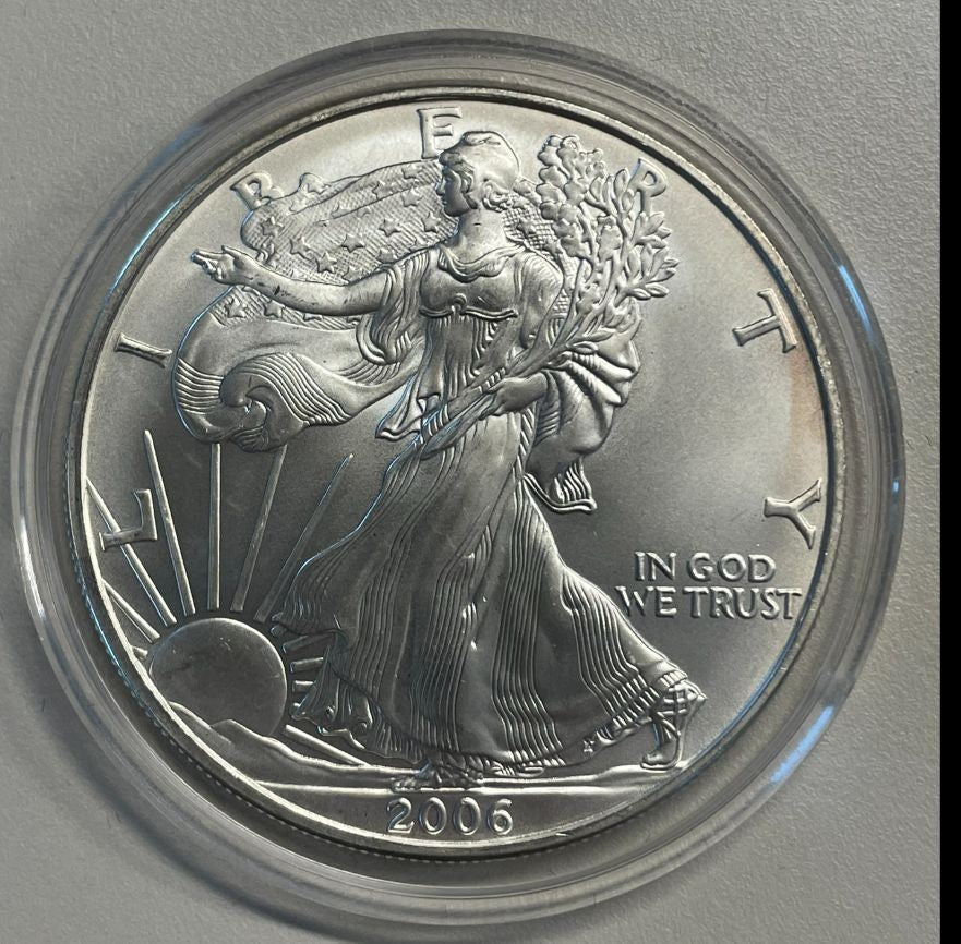 NL* STATI UNITI 1 DOLLARO ARGENTO 2006 ONCIA OZ ARGENTO PURO Liberty Walking