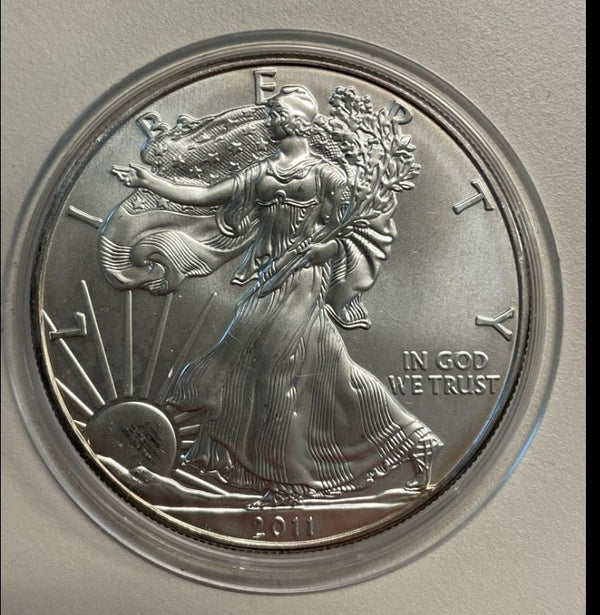 NL* U.S.A. 1 DOLLARO ARGENTO 2012 1 ONCIA ARGENTO PURO Liberty Walking-SILVER OZ
