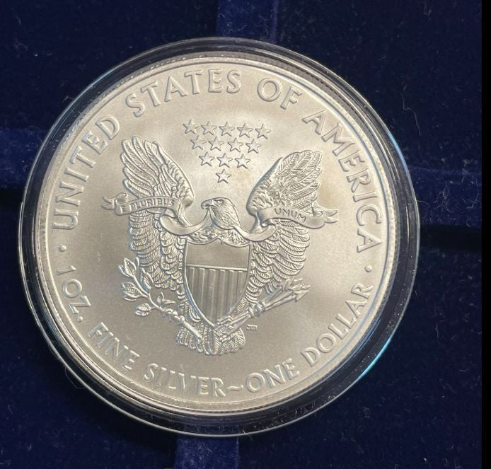 NL* STATI UNITI 1 DOLLARO ARGENTO 2009 ONCIA OZ ARGENTO PURO Liberty Walking