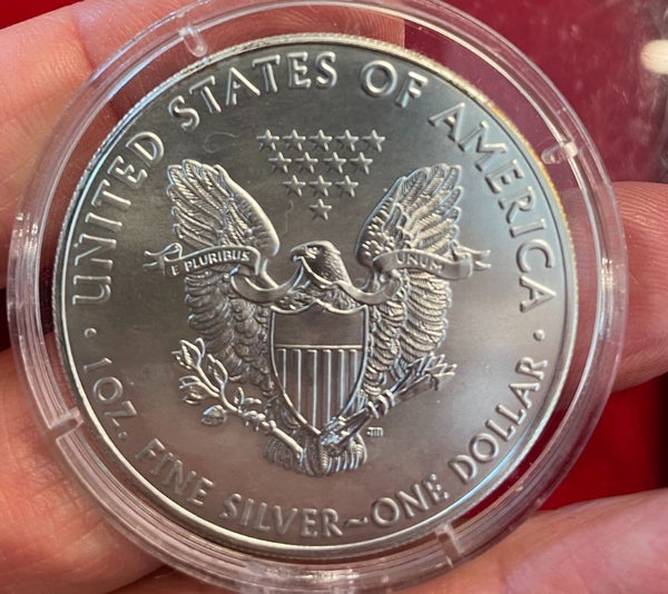 NL* STATI UNITI 1 DOLLARO ARGENTO 2021 1 ONCIA OZ ARGENTO PURO Liberty Walking