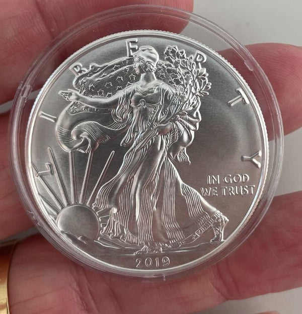 NL* STATI UNITI 1 DOLLARO ARGENTO 2019 1 ONCIA OZ ARGENTO PURO Liberty Walking