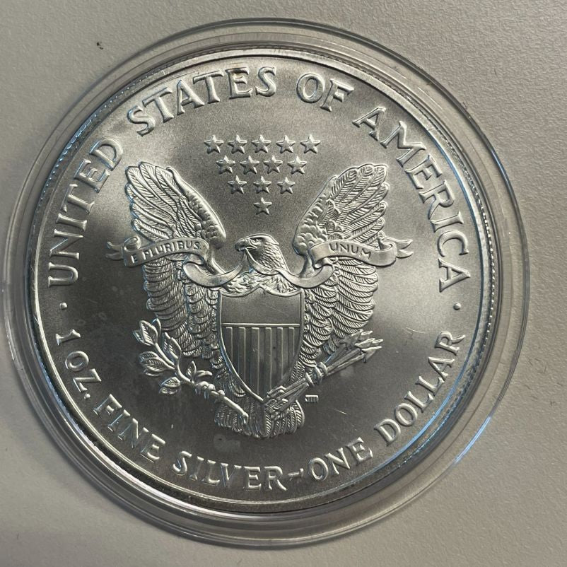 NL* STATI UNITI 1 DOLLARO ARGENTO 2005 ONCIA OZ ARGENTO PURO Liberty Walking