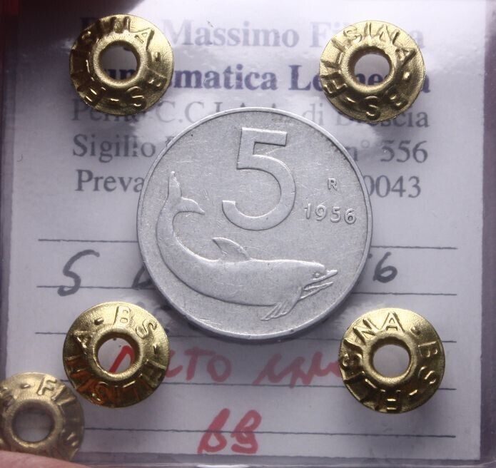43681941
