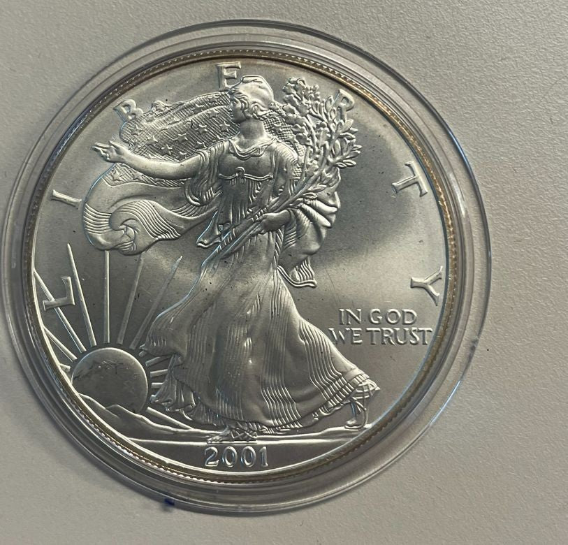 NL* STATI UNITI 1 DOLLARO ARGENTO 2001  1 ONCIA OZ ARGENTO PURO Liberty Walking