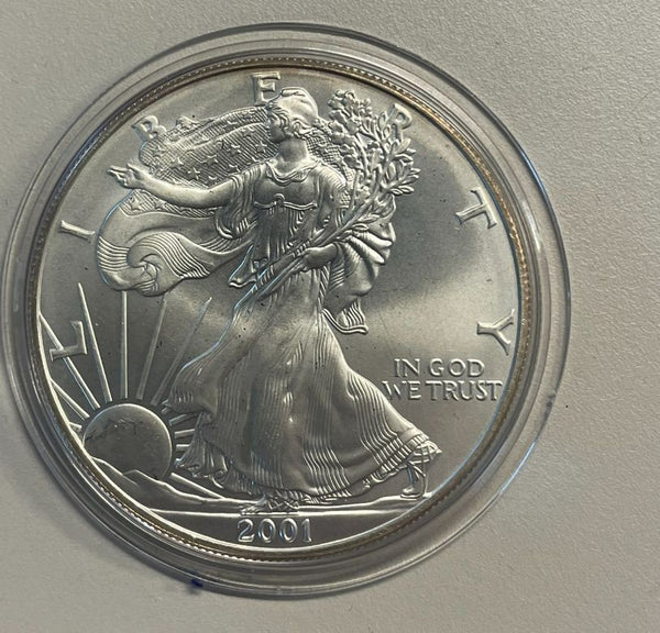 NL* STATI UNITI 1 DOLLARO ARGENTO 2001  1 ONCIA OZ ARGENTO PURO Liberty Walking
