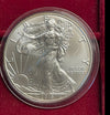NL* U.S.A. 1 DOLLARO ARGENTO 2019 1 ONCIA ARGENTO PURO Liberty Walking-SILVER OZ