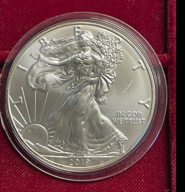 NL* U.S.A. 1 DOLLARO ARGENTO 2019 1 ONCIA ARGENTO PURO Liberty Walking-SILVER OZ