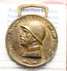 NL* ITALIA VEIII Medaglia coniata nel Bronzo Nemico GUERRA 1915 1918