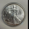 NL* STATI UNITI 1 DOLLARO ARGENTO 2010 ONCIA OZ ARGENTO PURO Liberty Walking
