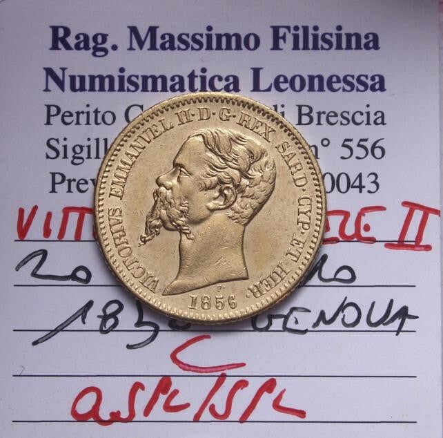 45033603