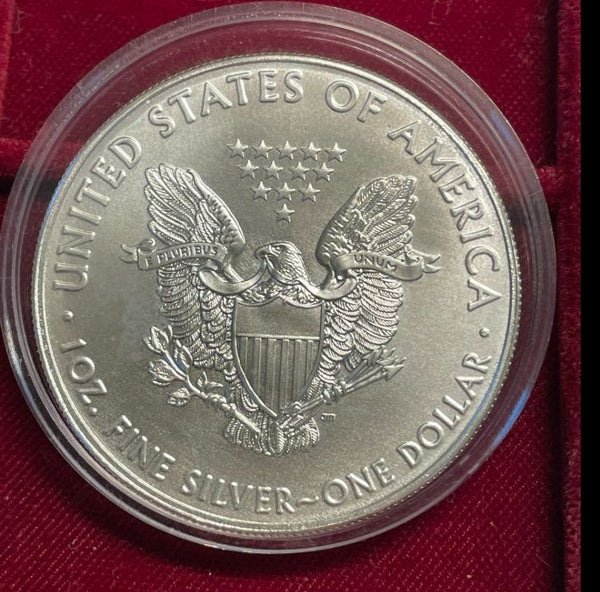 NL* U.S.A. 1 DOLLARO ARGENTO 2017 1 ONCIA ARGENTO PURO Liberty Walking-SILVER OZ