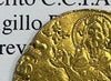 NL* FIRENZE FIORINO in ORO II SEMESTRE 1338 VANNI di MATTEO RARO splendida cons.