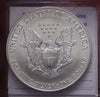 NL* STATI UNITI 1 DOLLARO ARGENTO 1996 1 ONCIA OZ ARGENTO PURO Liberty Walking