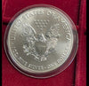 NL* U.S.A. 1 DOLLARO ARGENTO 2020 1 ONCIA ARGENTO PURO Liberty Walking-SILVER OZ