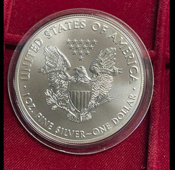 NL* U.S.A. 1 DOLLARO ARGENTO 2020 1 ONCIA ARGENTO PURO Liberty Walking-SILVER OZ