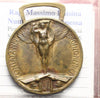 NL* ITALIA VEIII Medaglia coniata nel Bronzo Nemico GUERRA 1915 1918